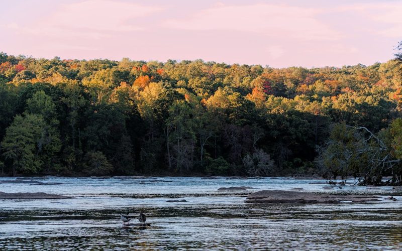 The Impact of the Atlanta Child Murders